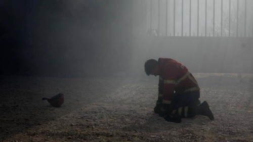 22519253_1588047507900690_5370589990049046034_n.jp