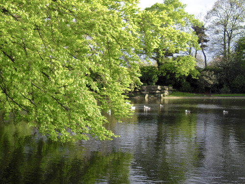 _MGP2917.jpg _MGP2917.jpg