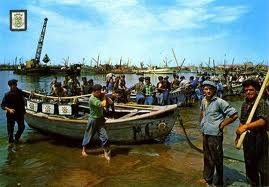 matosinhos conservas 2.jpg