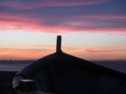 10686781_10204099459105346_1292103654778414425_n.j