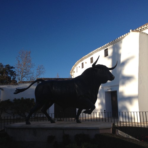 IMG_5812.JPG IMG_5812.JPG