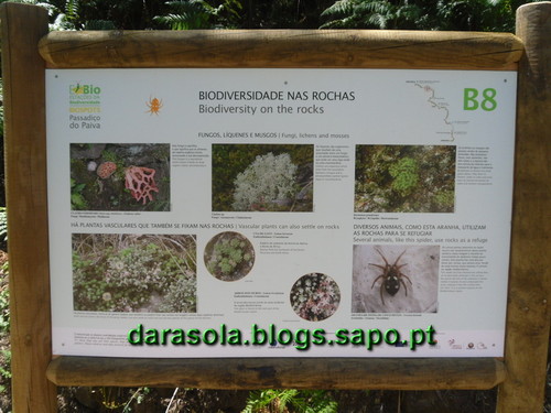 Passadicos_paiva_009.JPG Passadicos_paiva_009.JPG