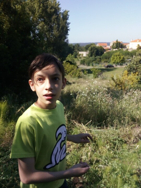 Não me canso disto montes.jpg