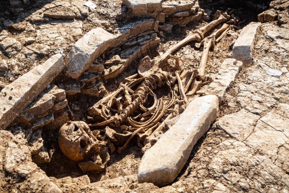 Tudo a seu tempo... I.jpg