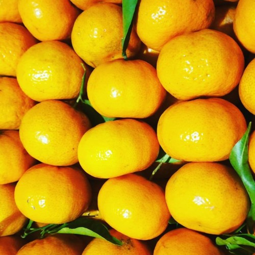 50116064_1292496510890107_5299656439701176320_n.jp