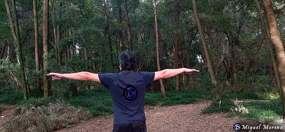 MM ausencia cópia.jpg