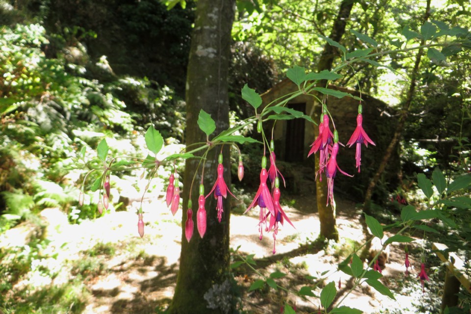 IMG_3198.JPG IMG_3198.JPG