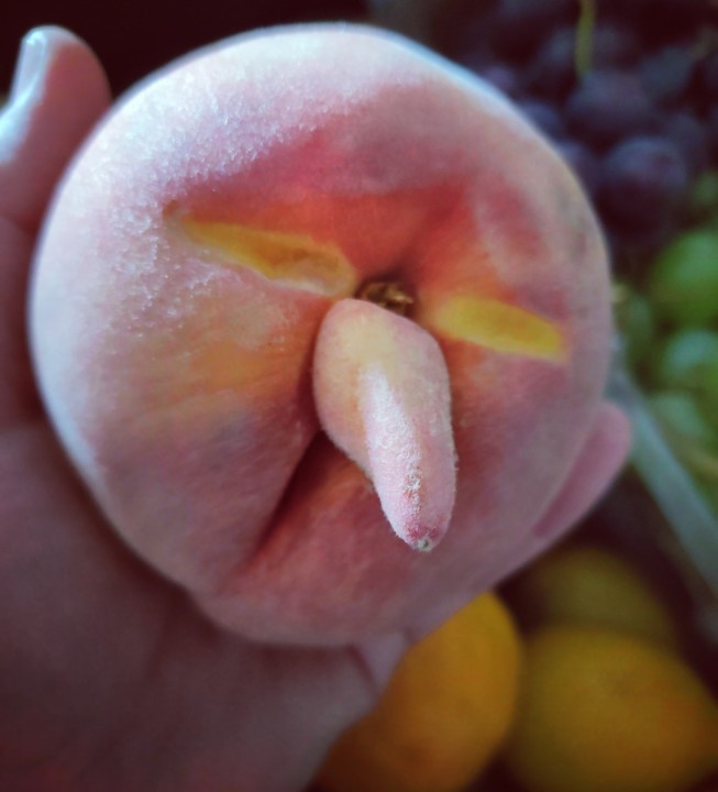 119037240_1809689195837500_8492910517640694230_o.j