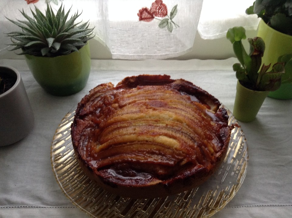 IMG_3081.JPG IMG_3081.JPG