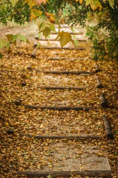 jardim rio da costa 14.jpg