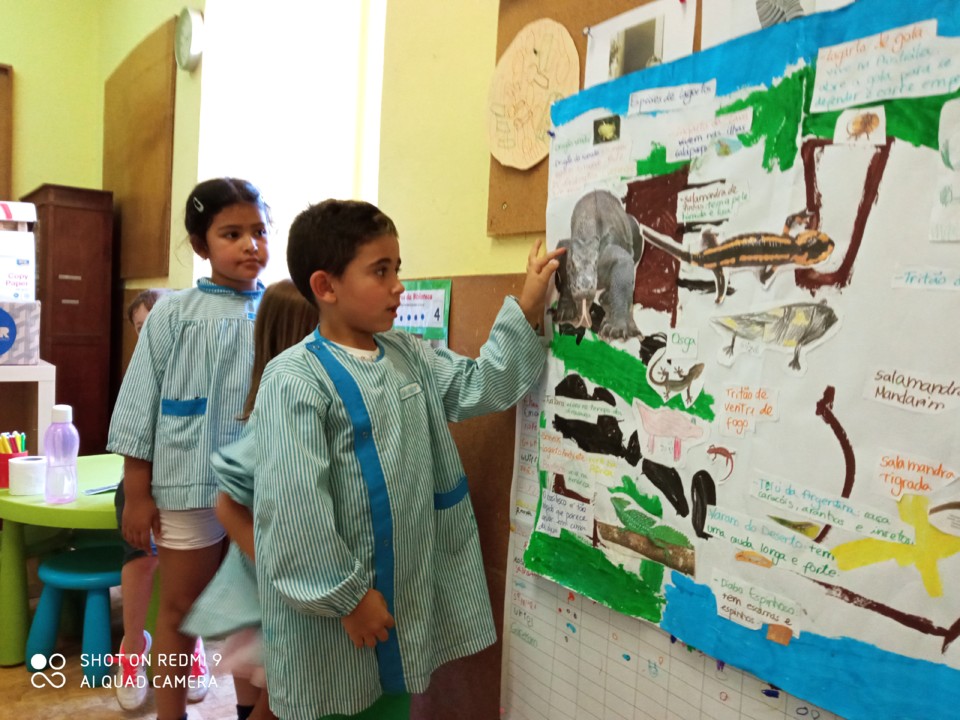 IMG_20210727_143555 (1).jpg