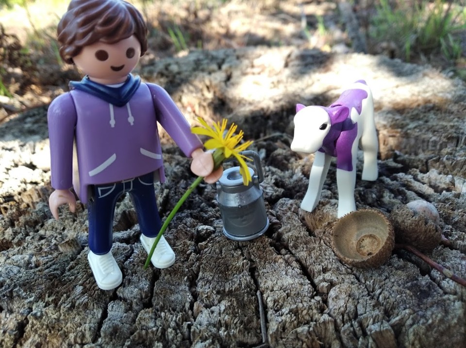 não_me_canso_disto_playmobil4.jpg não_me_canso_disto_playmobil4.jpg