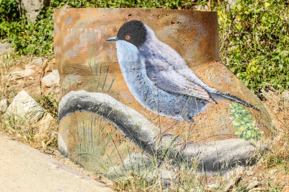 trilho das vinhas-61.jpg