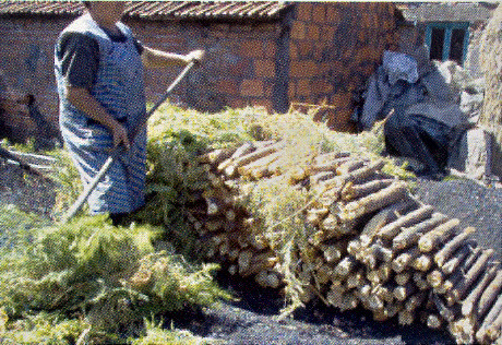 COBRIR COM MATO OU CARUMA.jpg