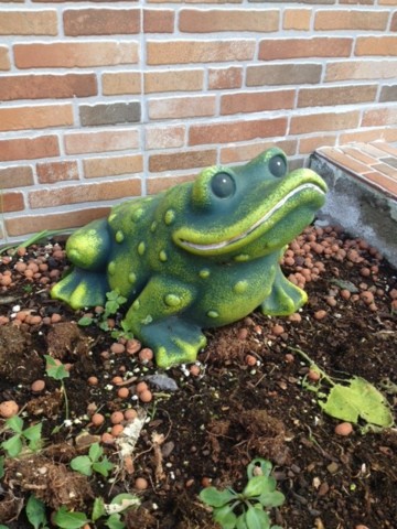 IMG_1479.JPG IMG_1479.JPG