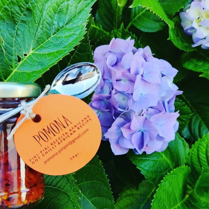 186472563_2030400177099733_6566057716891806660_n.j