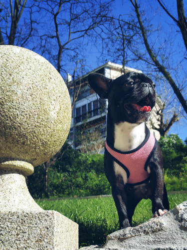 PicsArt_02-28-11.38.44.png PicsArt_02-28-11.38.44.png