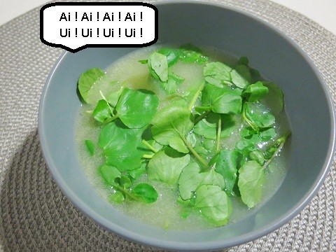 Sopa de Agriões.JPG