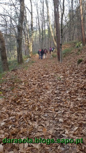 Burgo_13.jpg Burgo_13.jpg