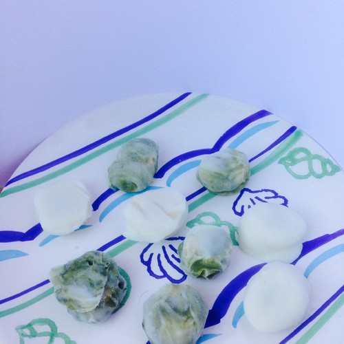 fotografia 1 (25).JPG