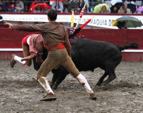 Valente acção de Tomás Ortins...