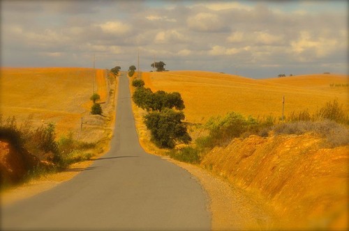 estrada alentejo telefone.jpg estrada alentejo telefone.jpg