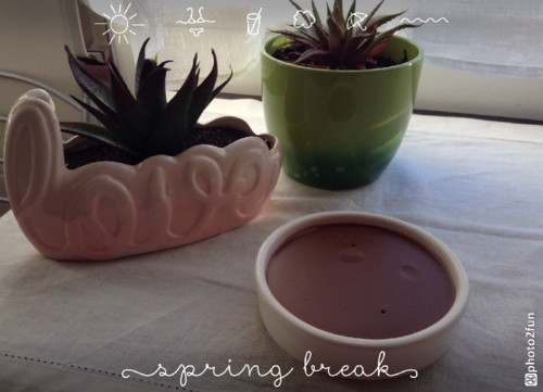 photo2fun.jpg photo2fun.jpg