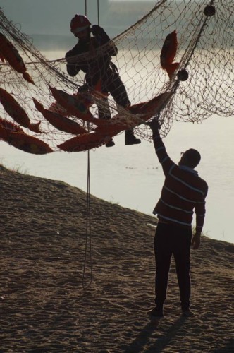 22366793_10156734800943696_4599374046518117375_n.j