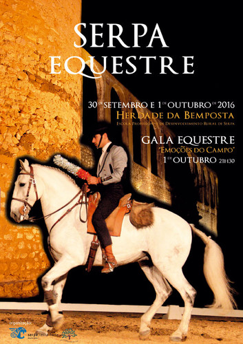 2_equestre2016.jpg 2_equestre2016.jpg