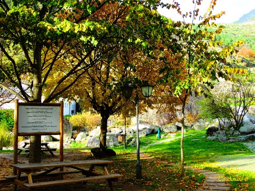 Fotos de Outono !!! 074.jpg