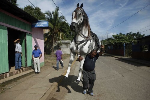 Tirando cavalo da chuva.jpg