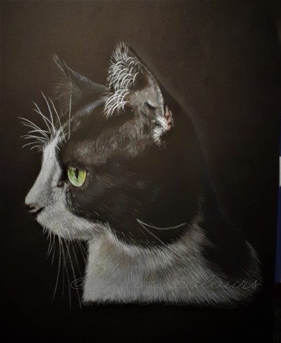 Jaqui - retrato lateral com assinatura.jpg