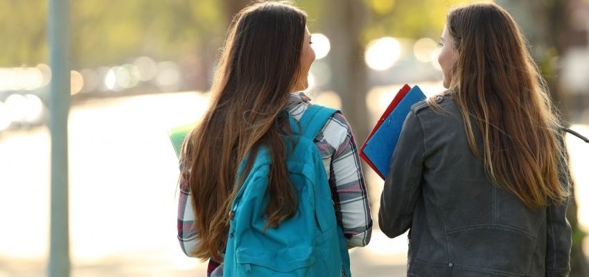 regresso-aulas2019-exames.jpg regresso-aulas2019-exames.jpg