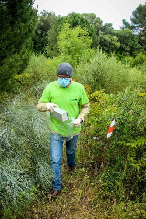 bioblitz tapada pedro vaz 6.jpg bioblitz tapada pedro vaz 6.jpg