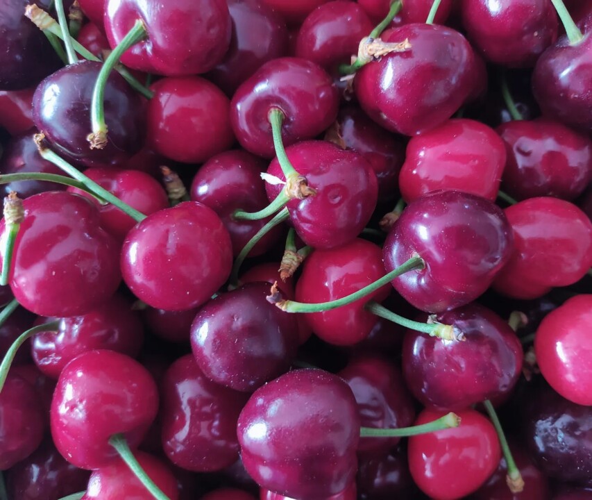 442392372_835042451986500_1578127101742083914_n.jp