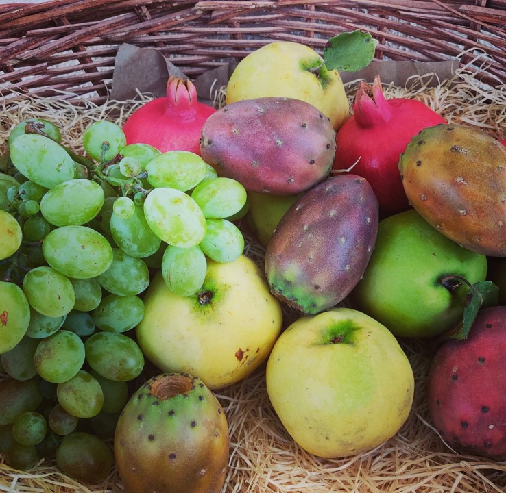 241707486_2114378165368600_254618253947235525_n.jp