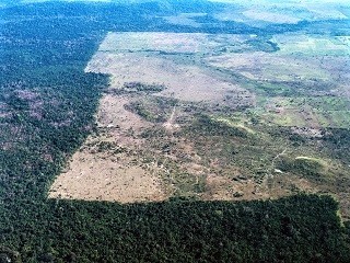 An area of the Amazon devastated by deforestation,