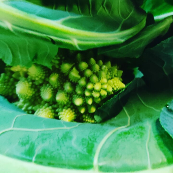 473287140_1001676801989730_6916905119148216478_n.j