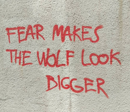the wolf.jpg