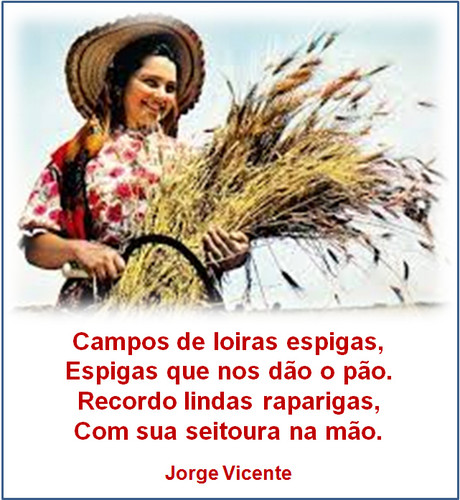 Sem Título-4.jpg Sem Título-4.jpg