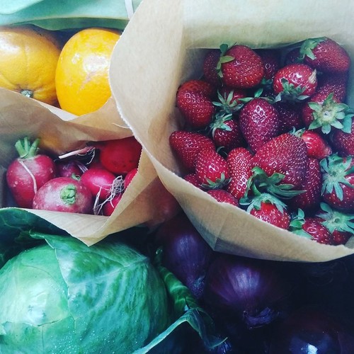 13119039_701832953289802_7997729279874071457_n.jpg 13119039_701832953289802_7997729279874071457_n.jpg