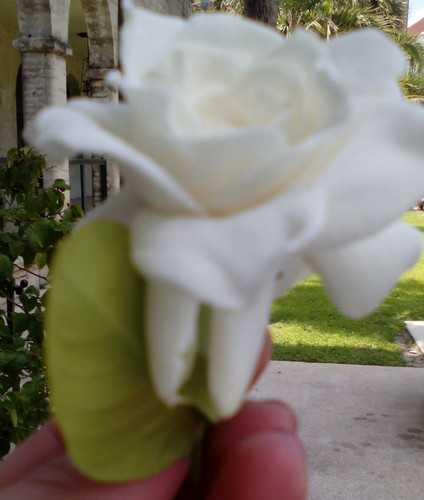 IMG_201605143_054612 (1).jpg