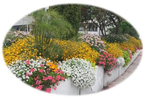 Jardins.JPG Jardins.JPG