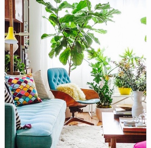 FullSizeRender.jpg FullSizeRender.jpg