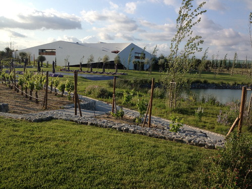 O hotel bem integrado no meio da paisagem de vinhas 