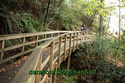 Passarelas_Rio_Mao_12.JPG Passarelas_Rio_Mao_12.JPG