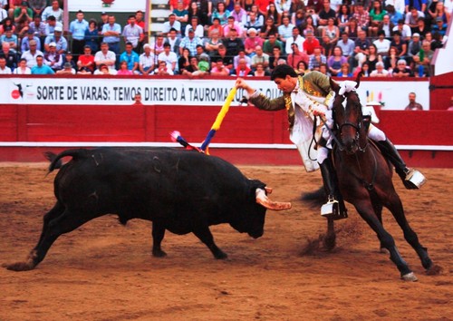 Lide de triunfo para Tiago Pamplona...