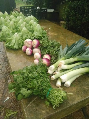 27540353_1035920746547686_2222754396634985494_n.jp 27540353_1035920746547686_2222754396634985494_n.jp