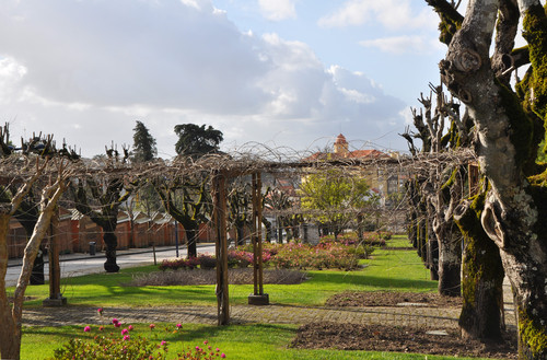 luso av,.jpg luso av,.jpg