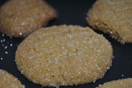 biscoitos de amendoim biscoitos de amendoim